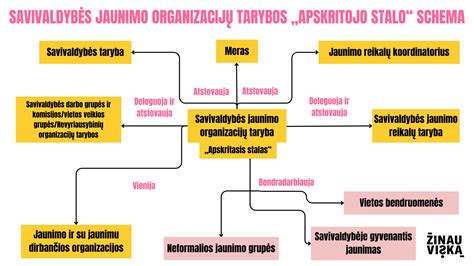 Socialinės politikos schema