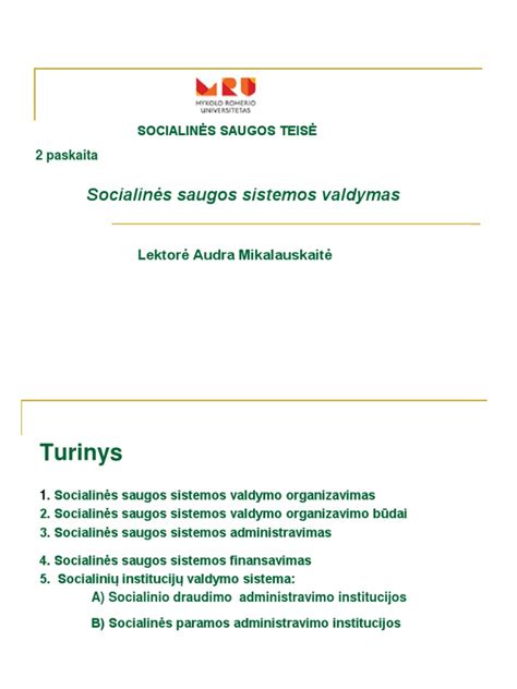 Socialines apsaugos sistemos schema