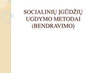 Socialinių įgūdžių ugdymo seminaras