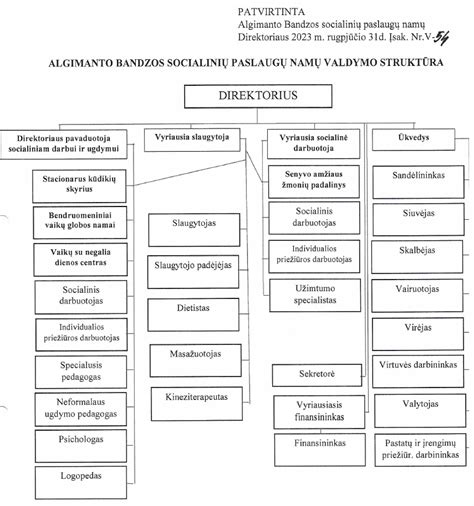 Socialinių paslaugų namai