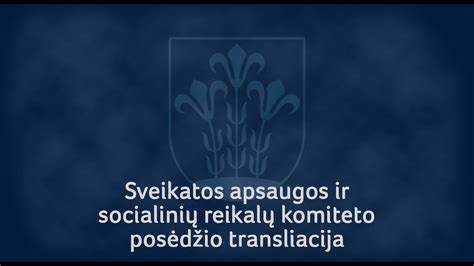 Socialinių reikalų komiteto veikla