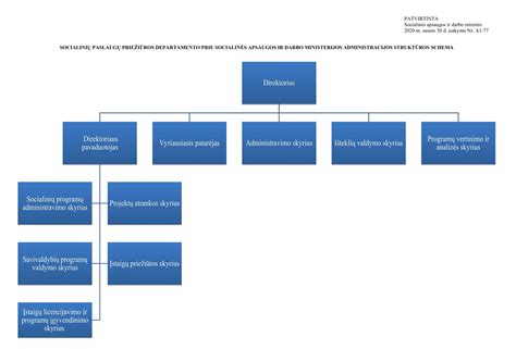 Socialinių vaidmenų schema