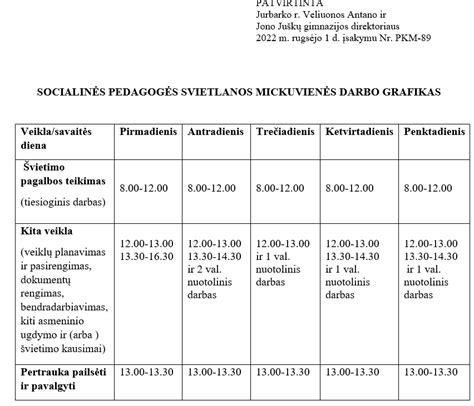 Socialinio darbuotojo veiklos schema