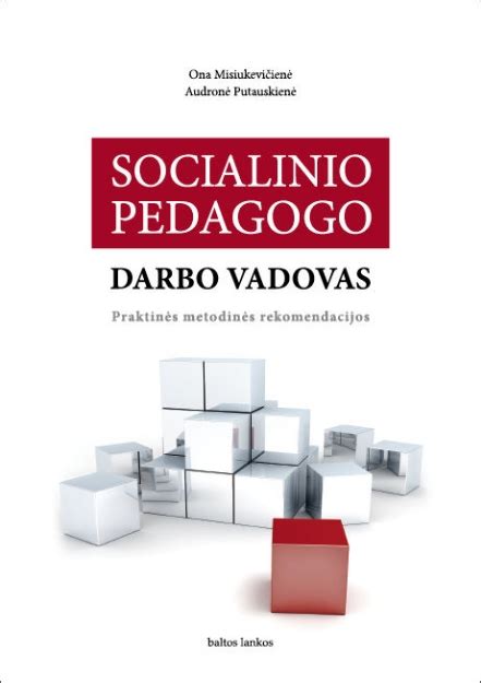 Socialinio pedagogo darbo schema