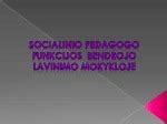 Socialinio pedagogo funkcijos