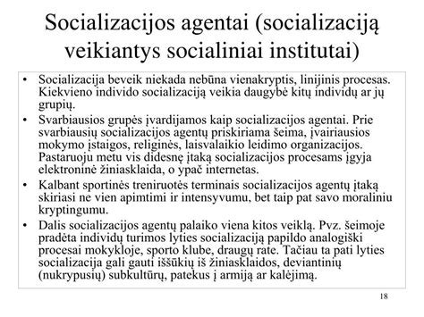Socializacijos institutai
