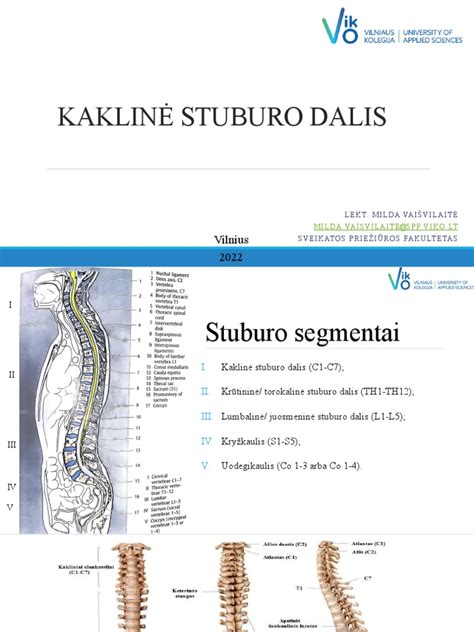 Stuburo judamojo segmento bendras vaizdas