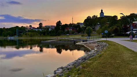 Talkšos ežero pakrantė ir meškinas
