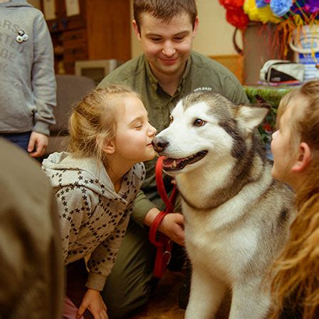Terapija su šunimis