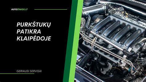 Užimtumo rodikliai pagal šalis