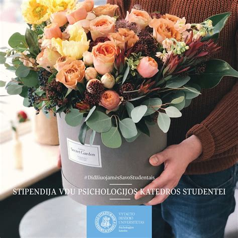 VDU Psichologijos katedra