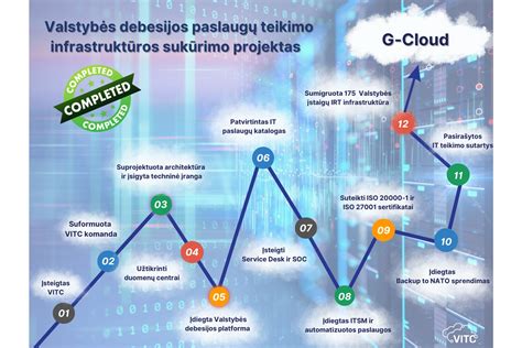 VMI paslaugų teikimo būdai