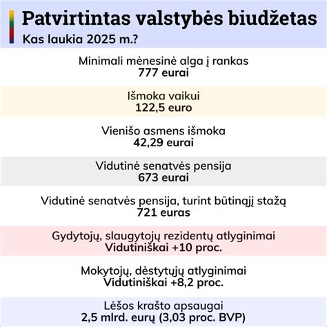VSDFV biudžeto pajamos