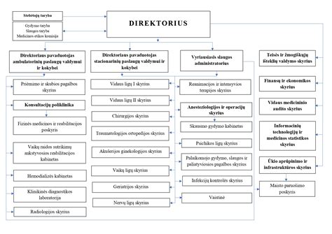 Vaikų Ligoninės Struktūra