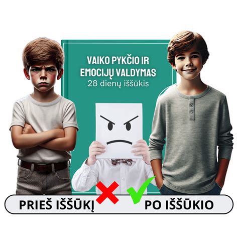Vaiko pykčio valdymo strategijos