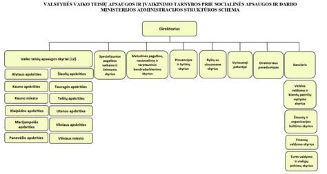 Vaiko teisių apsaugos sistema schema