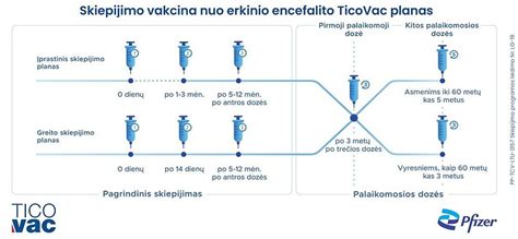 Vakcinacijos schema