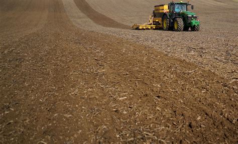 Vasarinių kviečių sėja