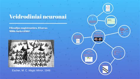 Veidrodiniai neuronai