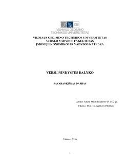 Verslo kūrimo schema