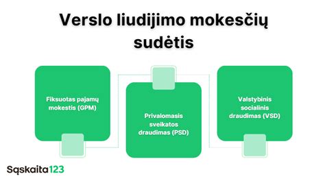 Verslo liudijimo schema