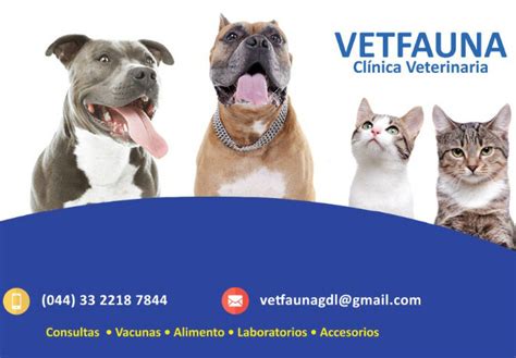 VetFauna logo