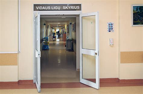 Vidaus ligų skyrius
