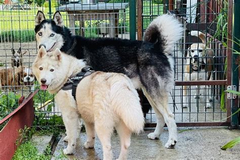 Viešbutis kaip rinkos sąvoka