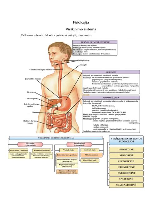 Virškinimo sistemos problemos senstant