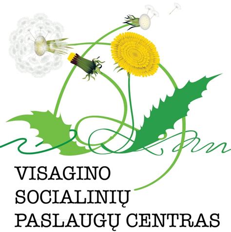 Visagino socialinių paslaugų centras